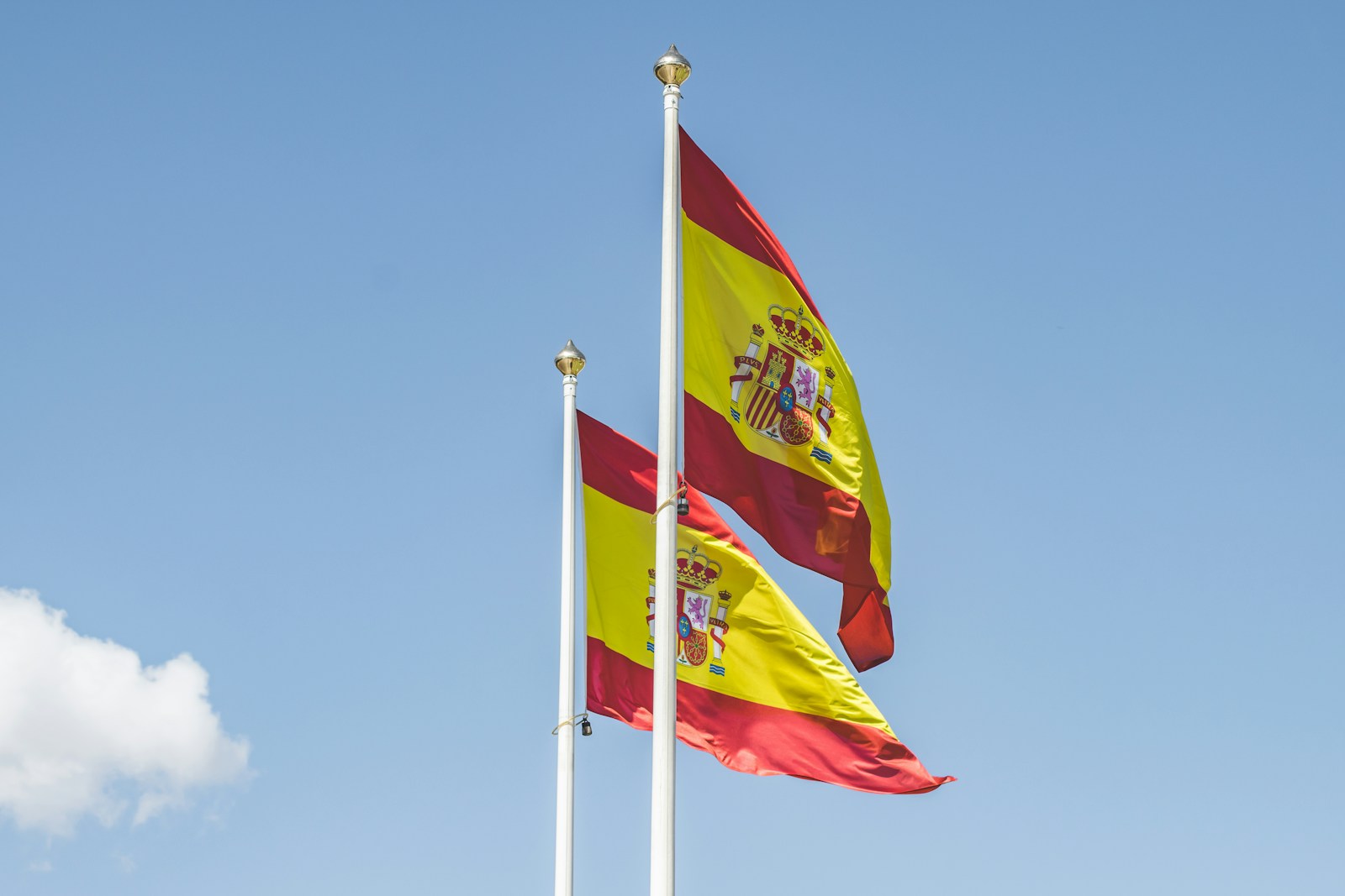 modelo 036, due diligence, invertir en españa, negocios rentables en españa, franquicias rentables en españa, aeat españa, emprender en españa, negocios en españa 2026