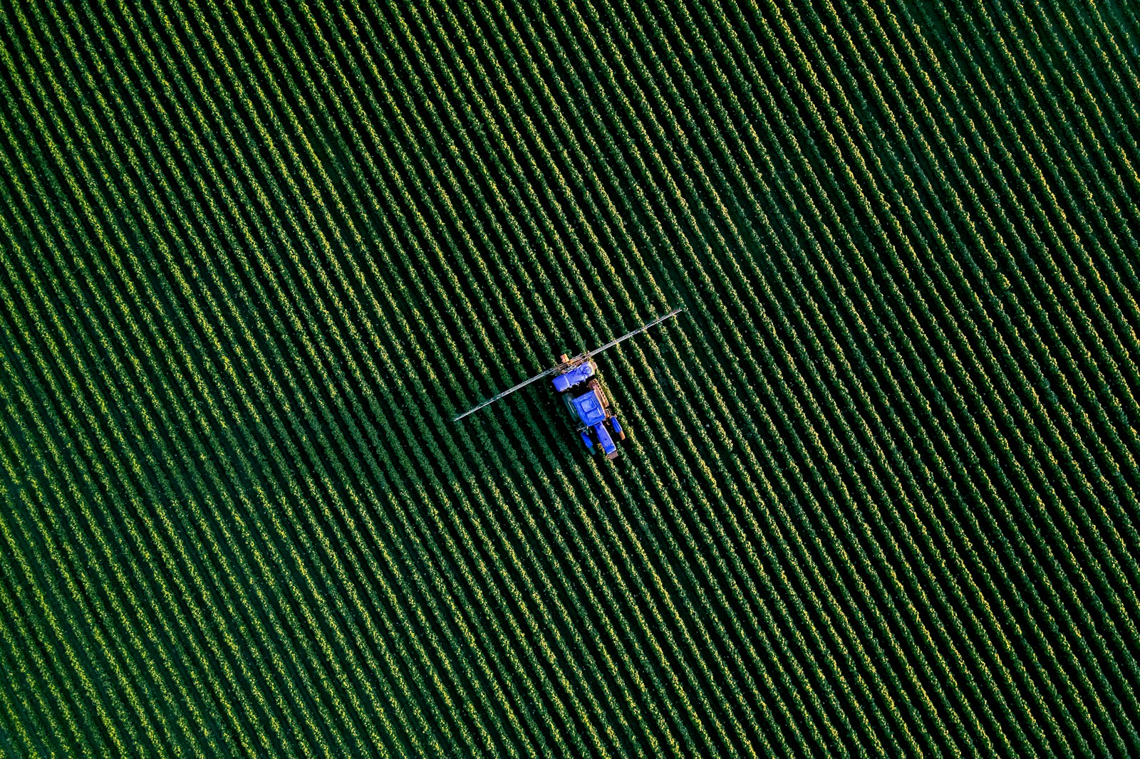 Inversión en Agrotech en España, due diligence, invertir en España, negocios rentables en España, franquicias rentables, traspaso de negocios, emprender en España